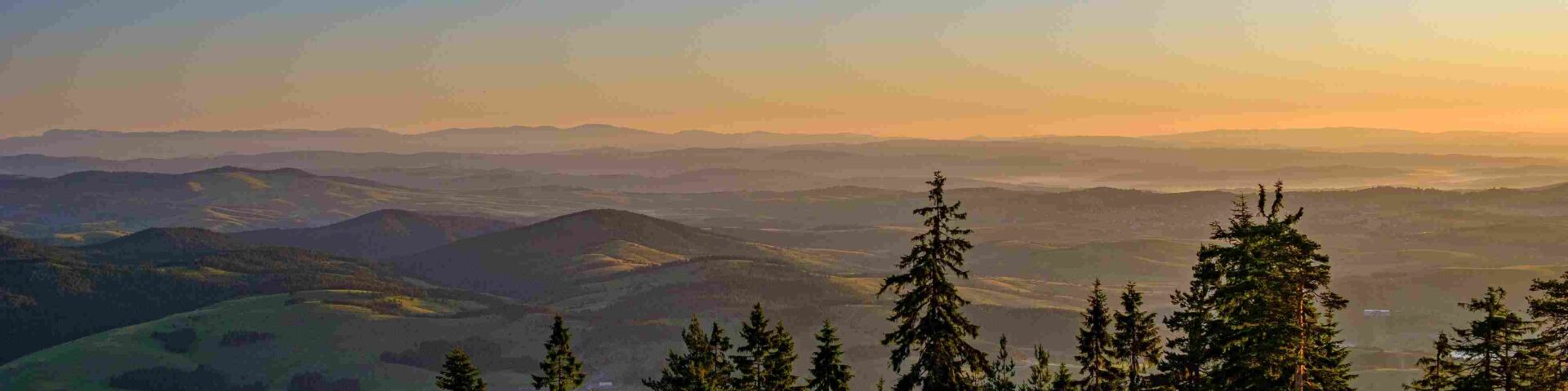 Panoramski pogled na zlatiborske brežuljke i borovu šumu u zalazak sunca