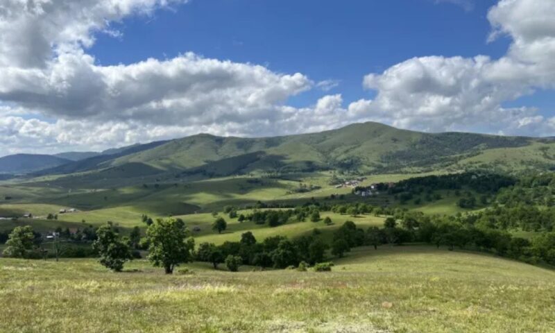 Zašto izabrati Zlatibor
