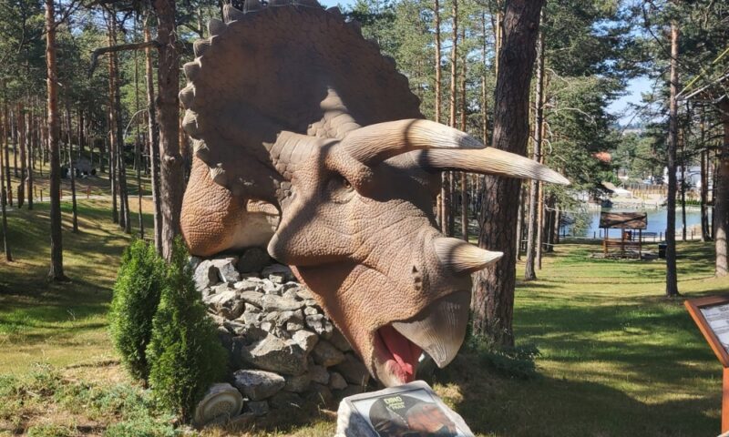 dino park